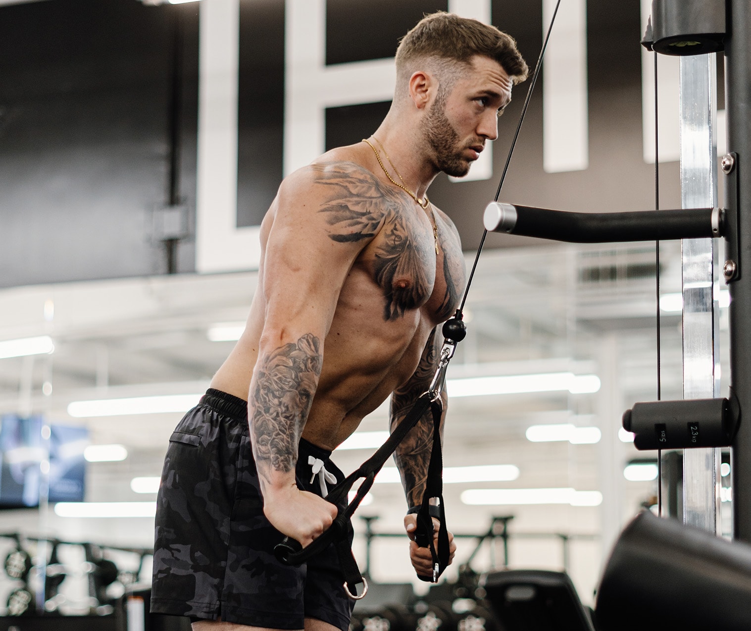 MUSCLE GROWTH